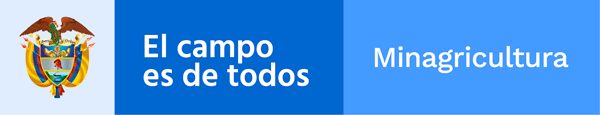 Icono