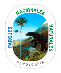 Icono